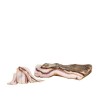 Pancetta tesa di suino nero dei Nebrodi "Presidio Slow Food"